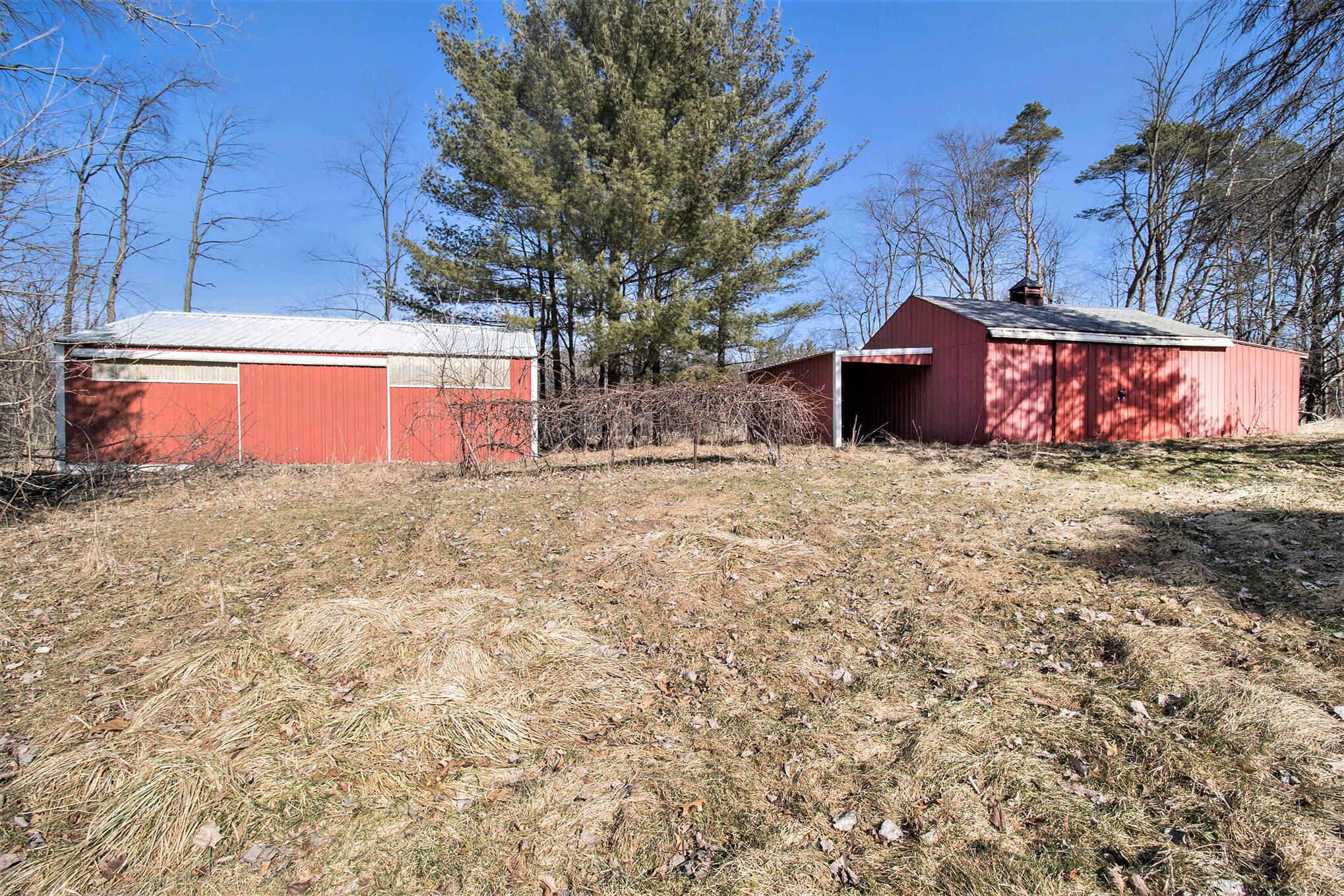 25349 R-Drive North Olivet, MI 49076 - Photo 8 of 26 0C5A1063