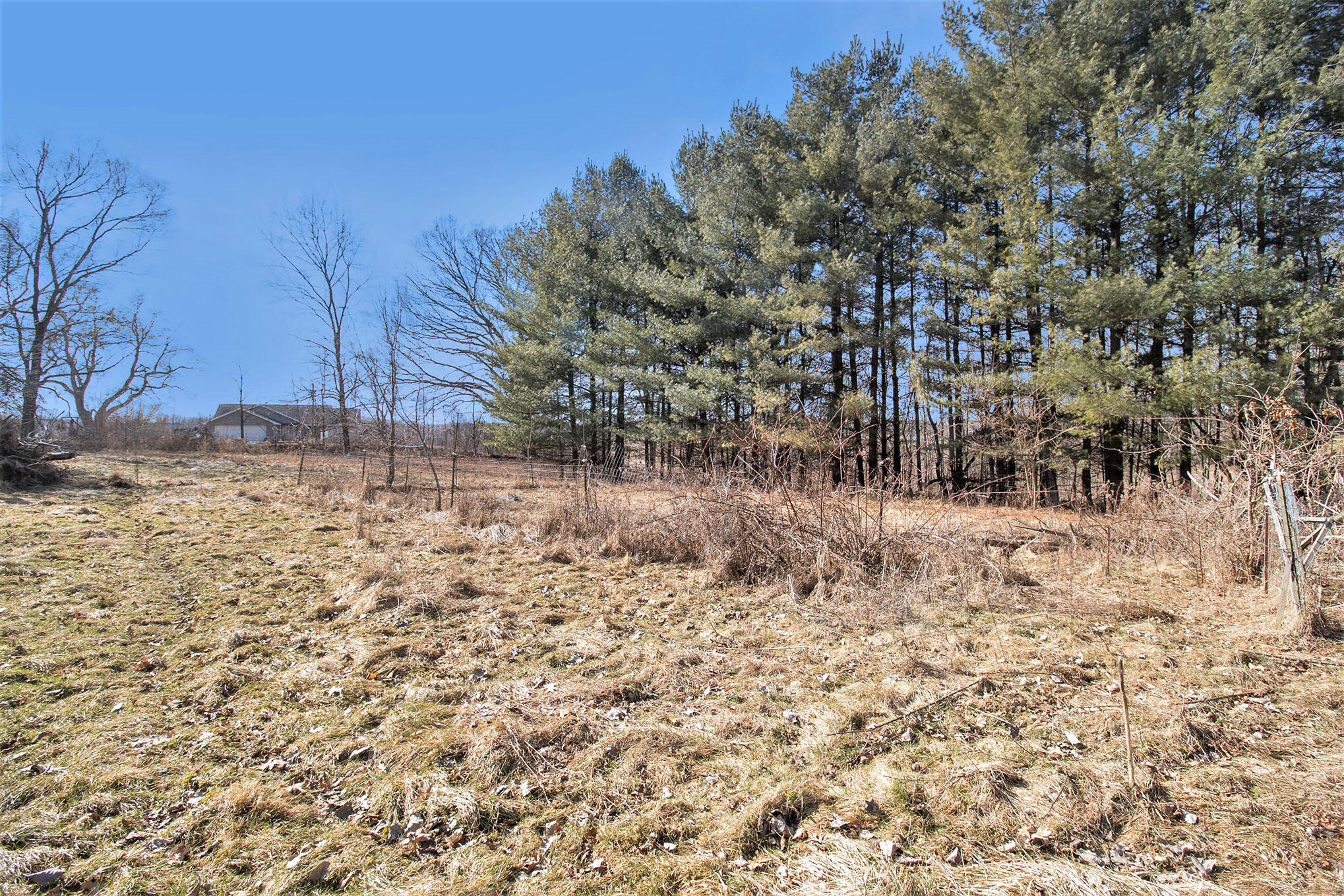 25349 R-Drive North Olivet, MI 49076 - Photo 9 of 26 0C5A1064
