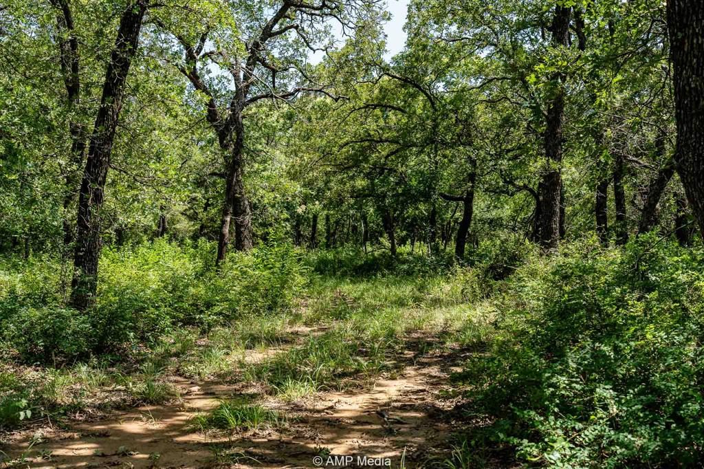 3641 Carpenter Road Nocona, TX 76255 - Photo 10 of 27