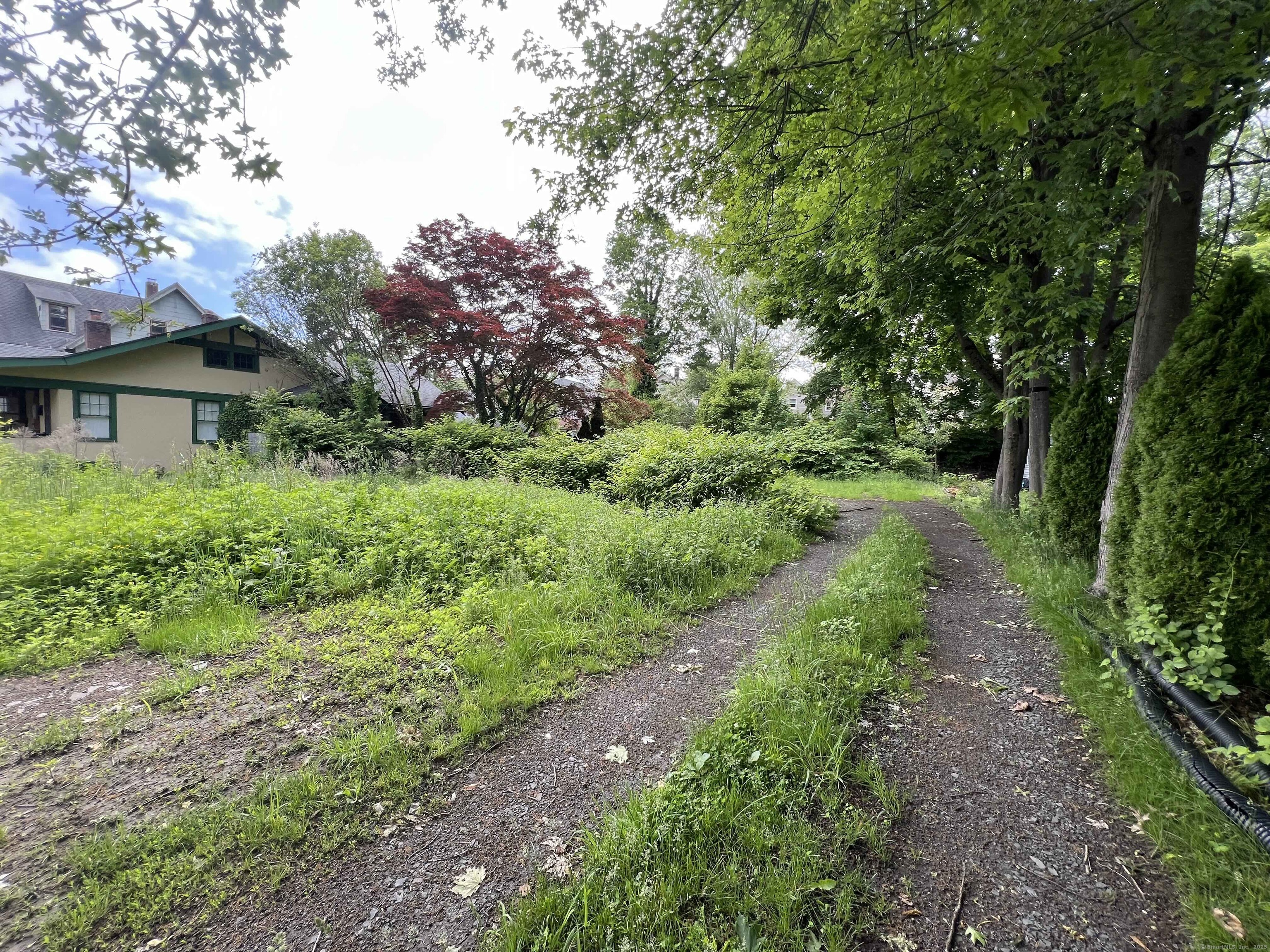 a view of a large garden with large trees