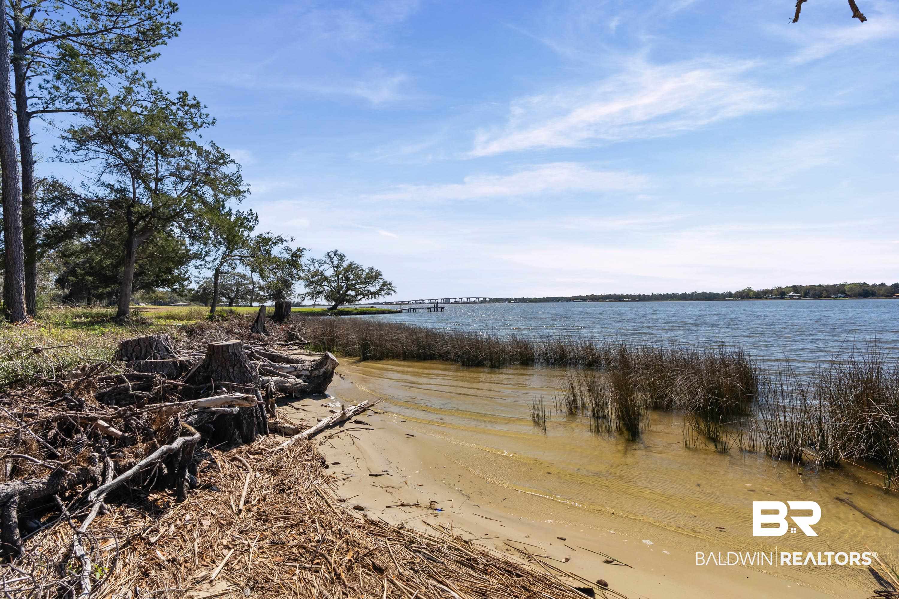 Forrest Street Mobile, AL 36605 - Photo 6 of 19