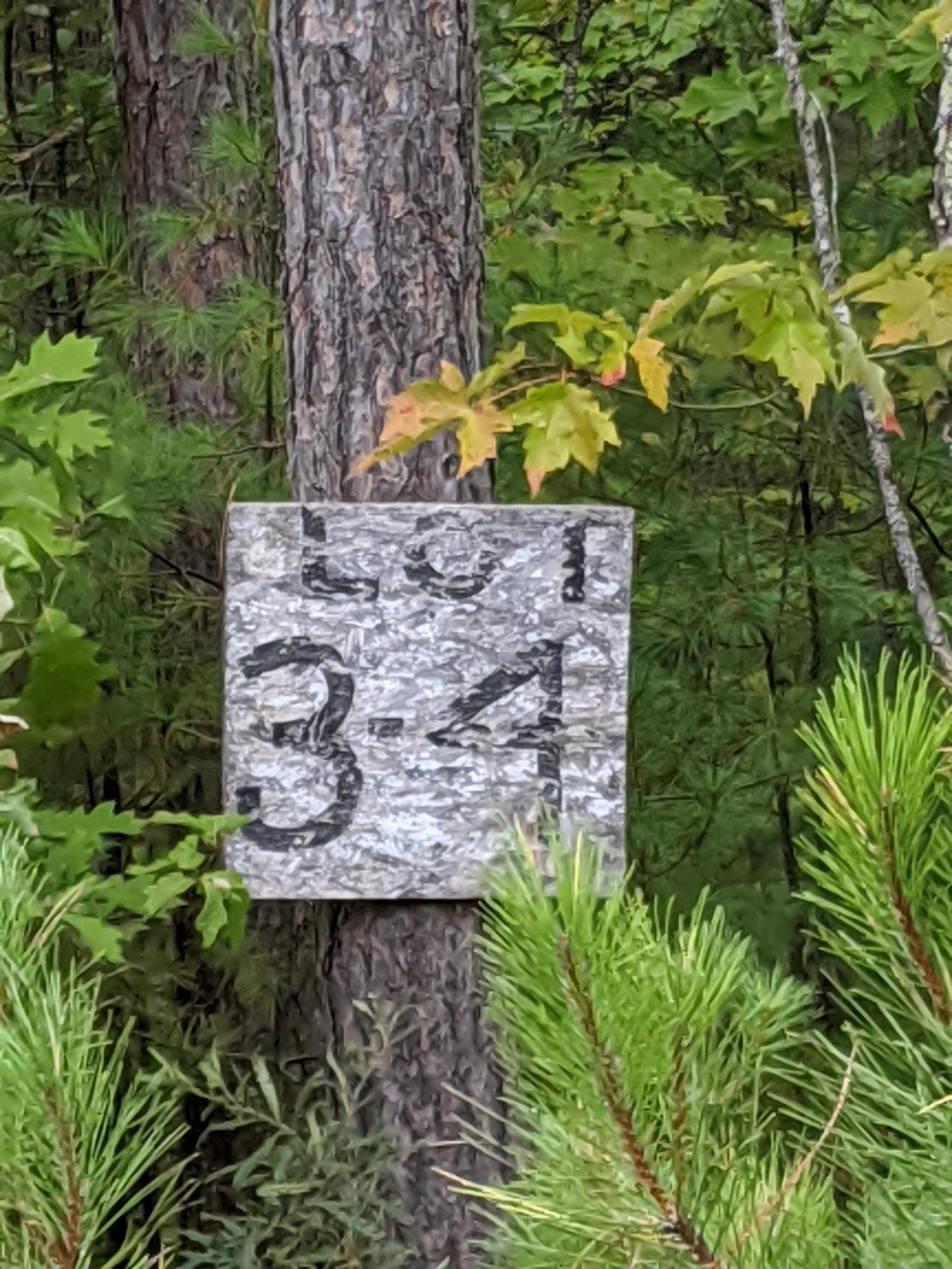 Lot 4 Lake Ridge Road West Newfield, ME 04095 - Photo 5 of 5 IMG_20200922_161030