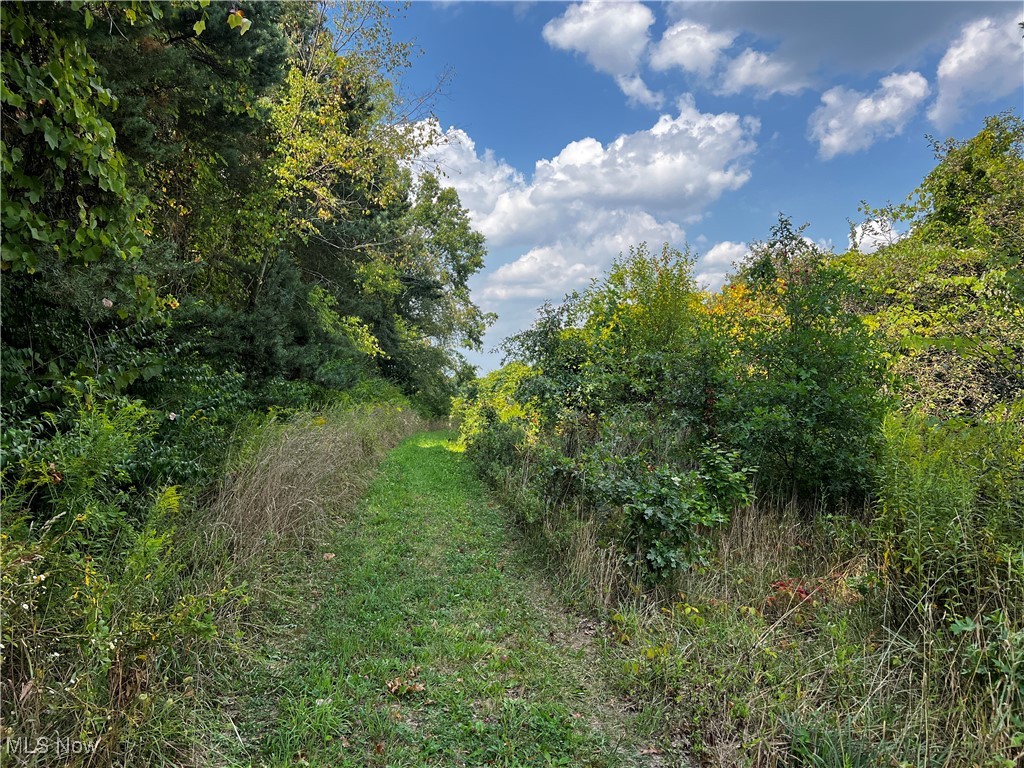 Cates Road Akron, OH 44312 - Photo 9 of 28