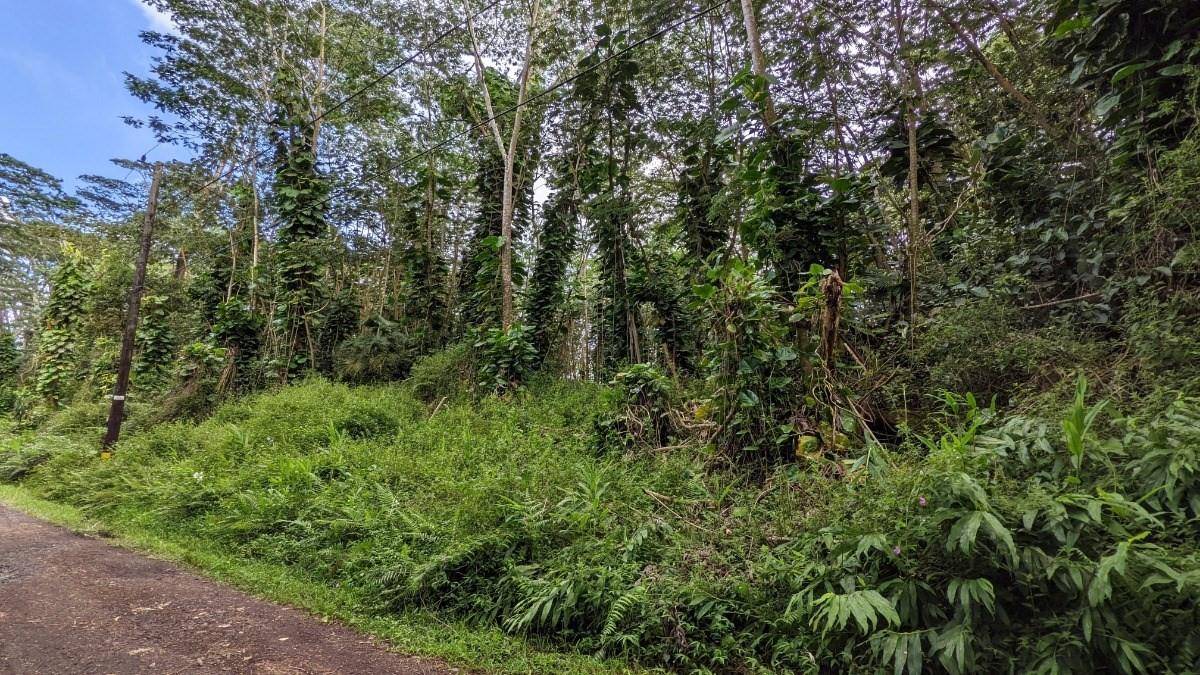 431 Pakalana Road Pahoa, HI 96778 - Photo 2 of 5 Gallery Image 2