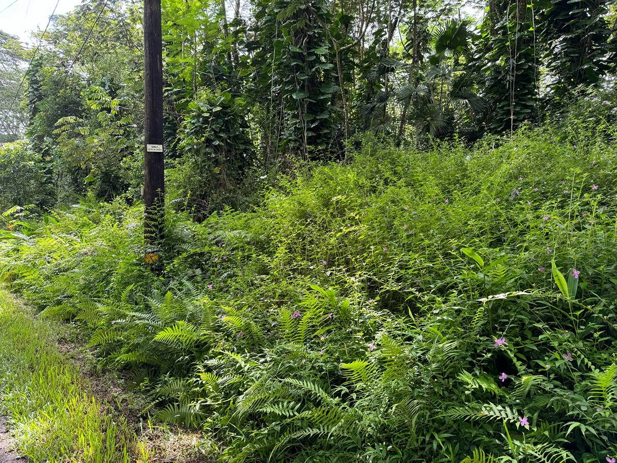 431 Pakalana Road Pahoa, HI 96778 - Photo 3 of 5 Gallery Image 3