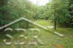 12000 Ward Road Chesaning, MI 48616 - Photo 4 of 12 20077402-3.JPG
