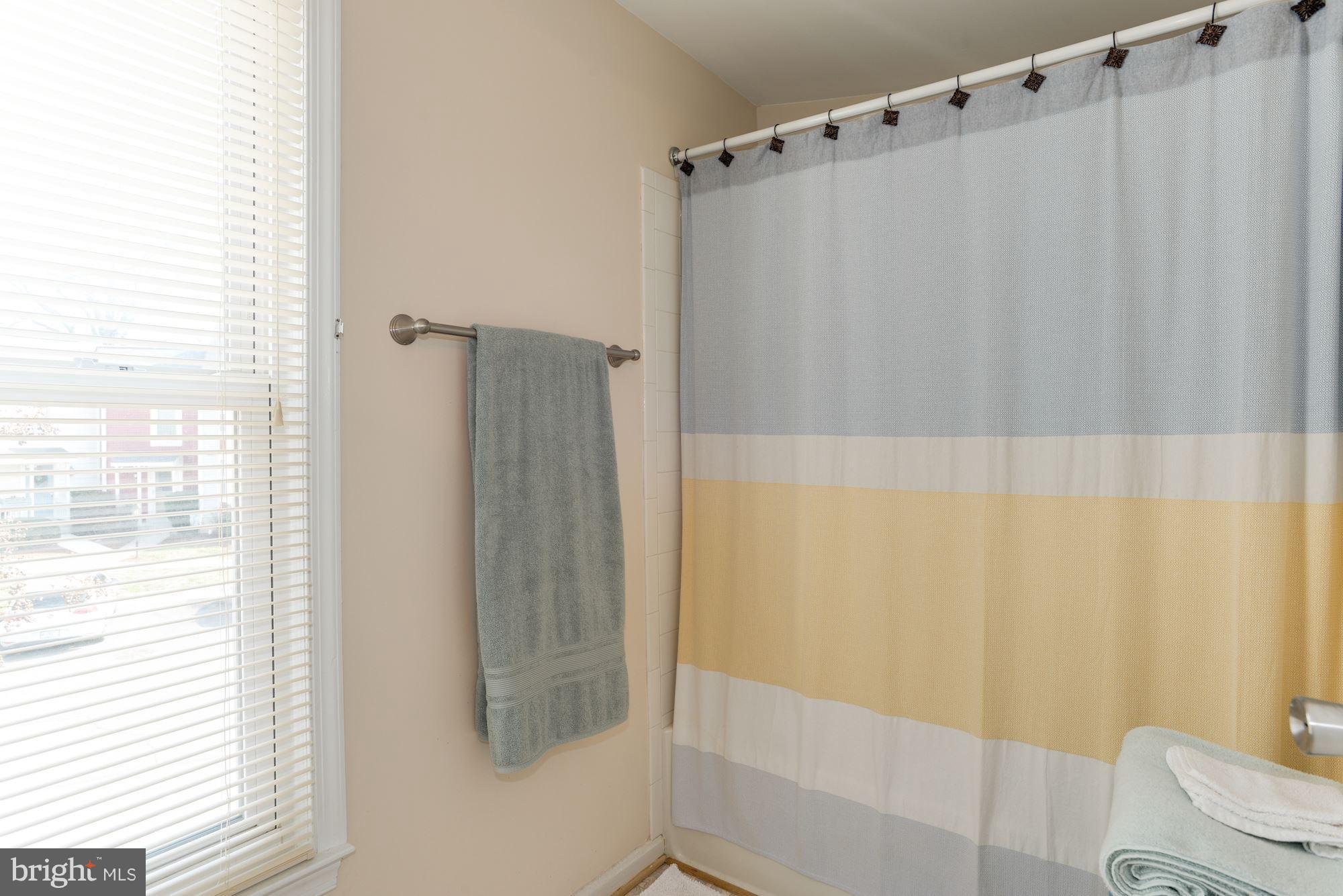 1704 Quietree Drive Reston, VA 20194 - Photo 20 of 23 a bathroom with a shower and a toilet