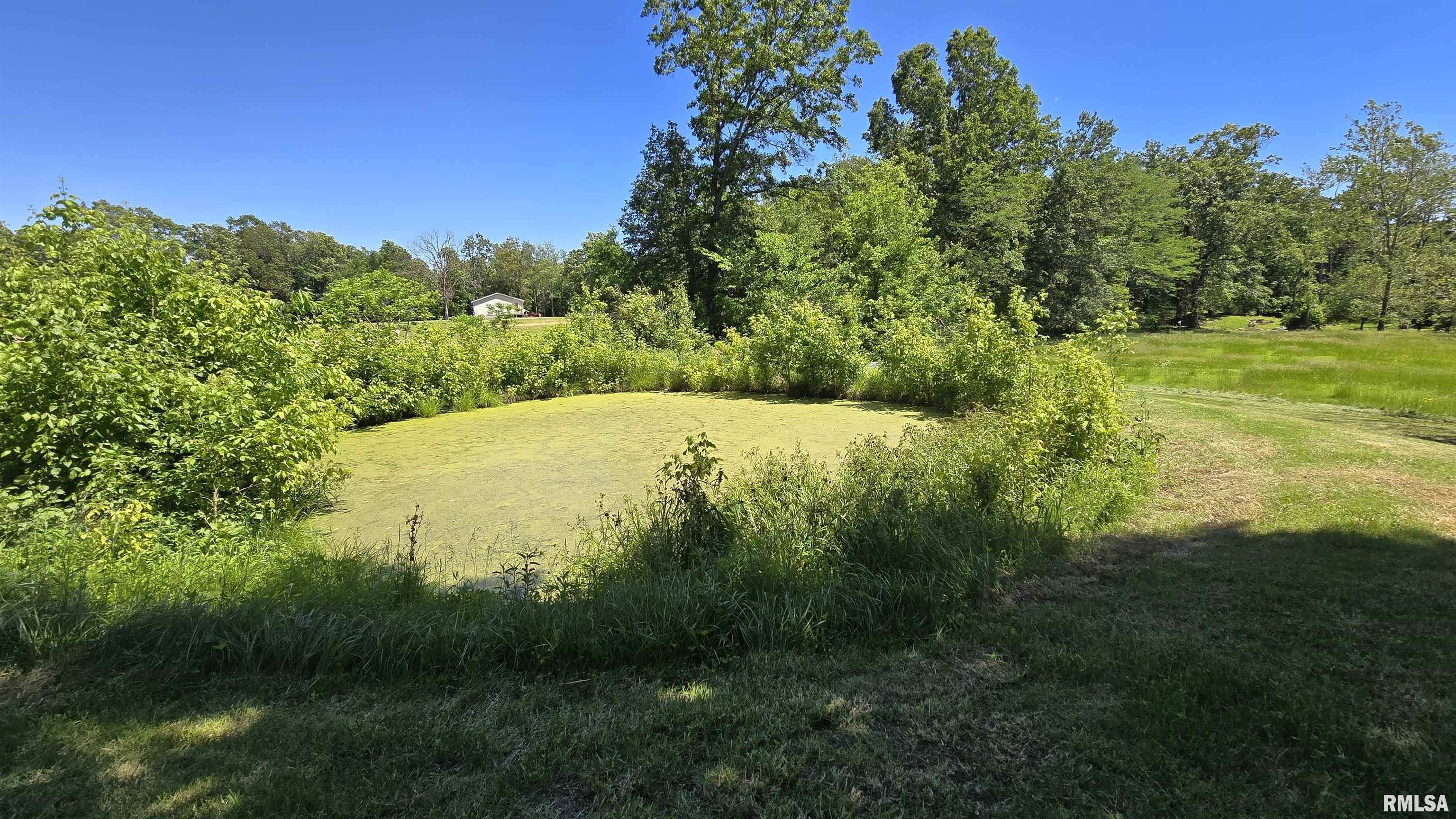 21665 Galatia Post Road Pittsburg, IL 62974 - Photo 54 of 66 Gallery Image 54