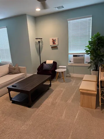 a living room with furniture and a potted plant