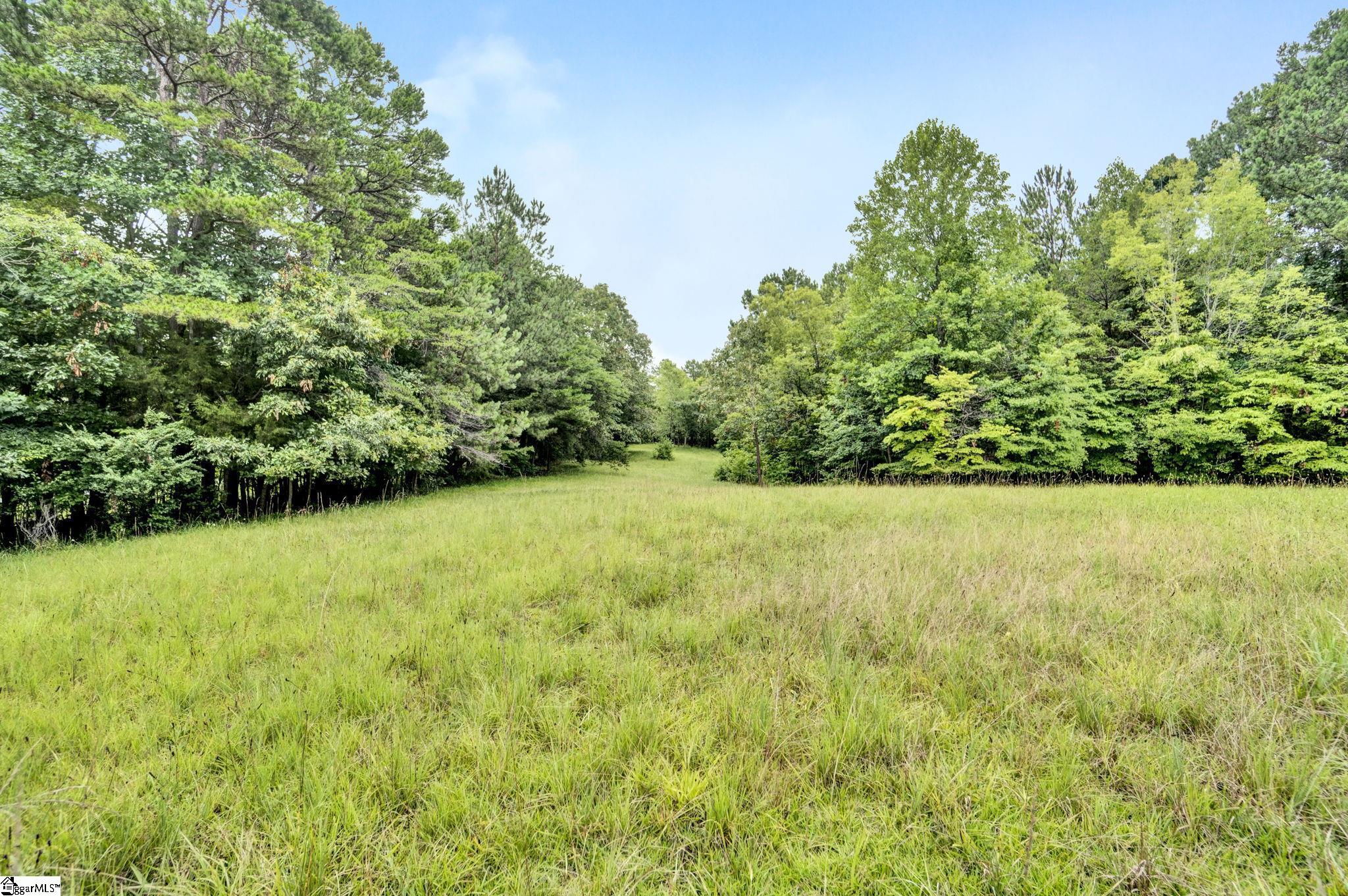 1356 State Rd S-11-54 Gaffney, SC 29340 - Photo 31 of 36 Gallery Image 31