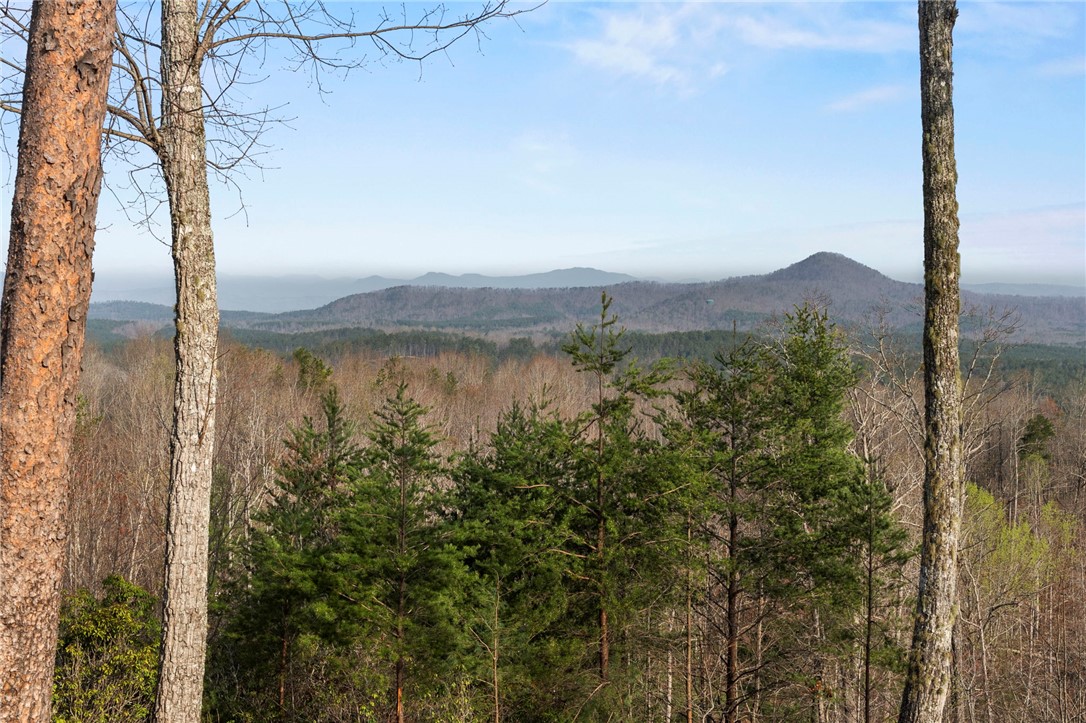 110 Gabriel Way Pickens, SC 29671 - Photo 11 of 12 Coummunity views are Breathtaking mountain views provide a serene backdrop to this tranquil setting.
