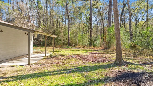 a view of a backyard