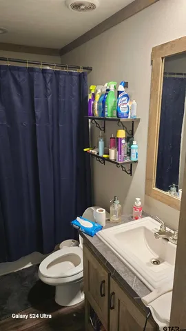 a bathroom with a sink a toilet and shower curtain