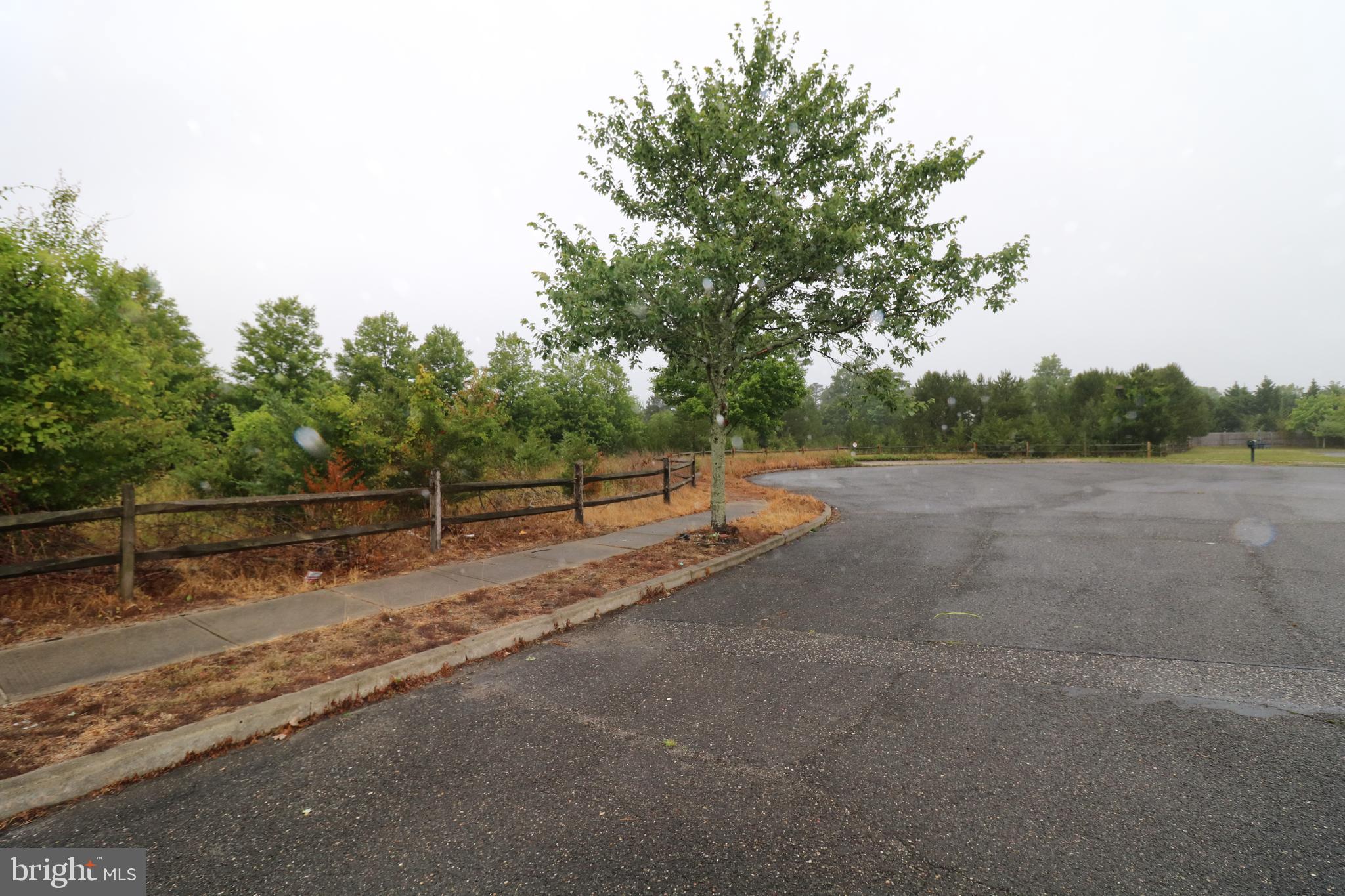 11 Travis Way Tuckerton, NJ 08087 - Photo 5 of 6 a view of a road with a trees