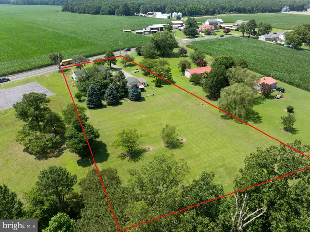 a view of a garden with an outdoor space