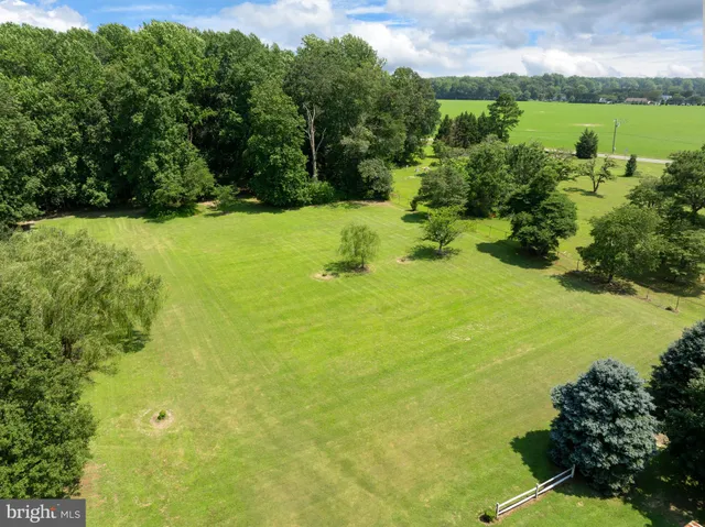 a view of a garden with houses