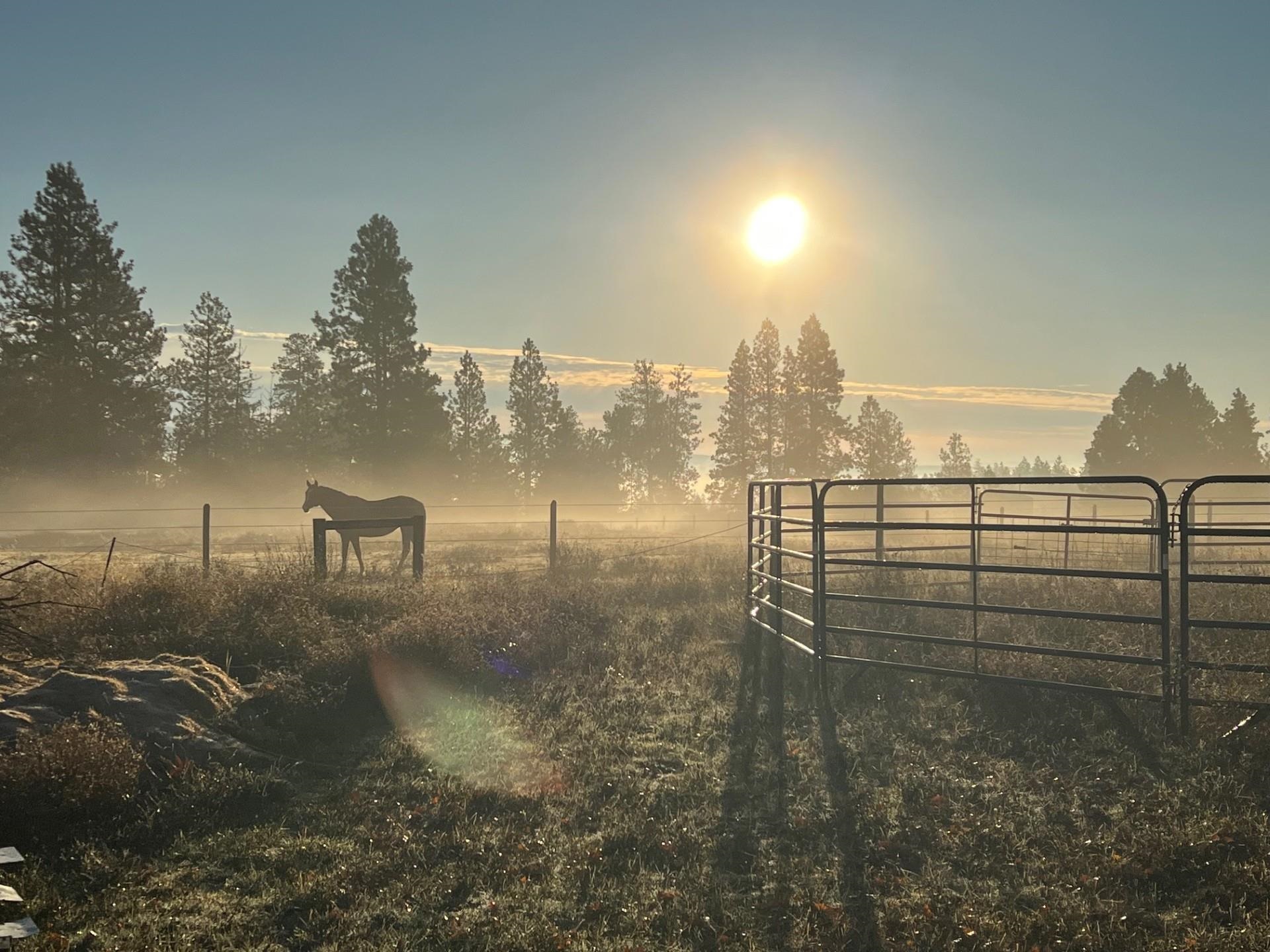 11021 South Hatch Road Spokane, WA 99224 - Photo 4 of 50