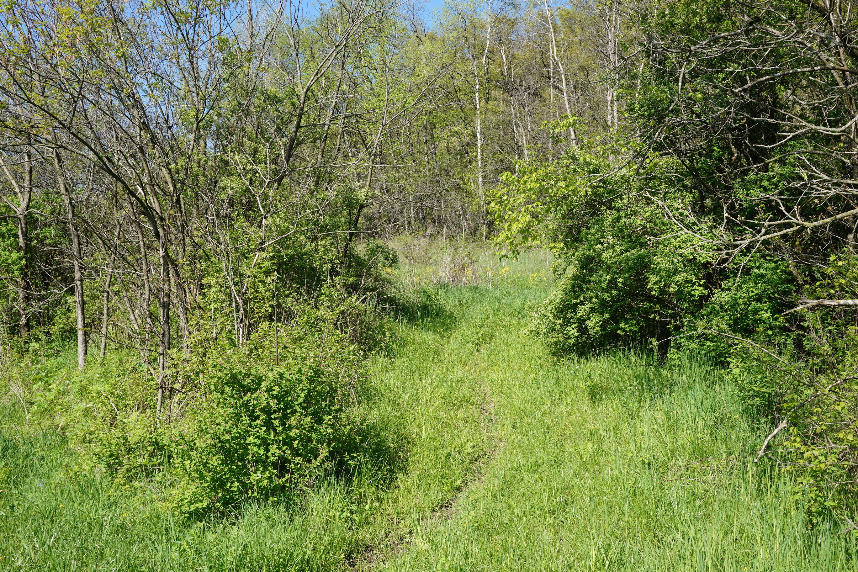 0 South Water Street Readstown, WI 54652 - Photo 1 of 1 Access from Water St.