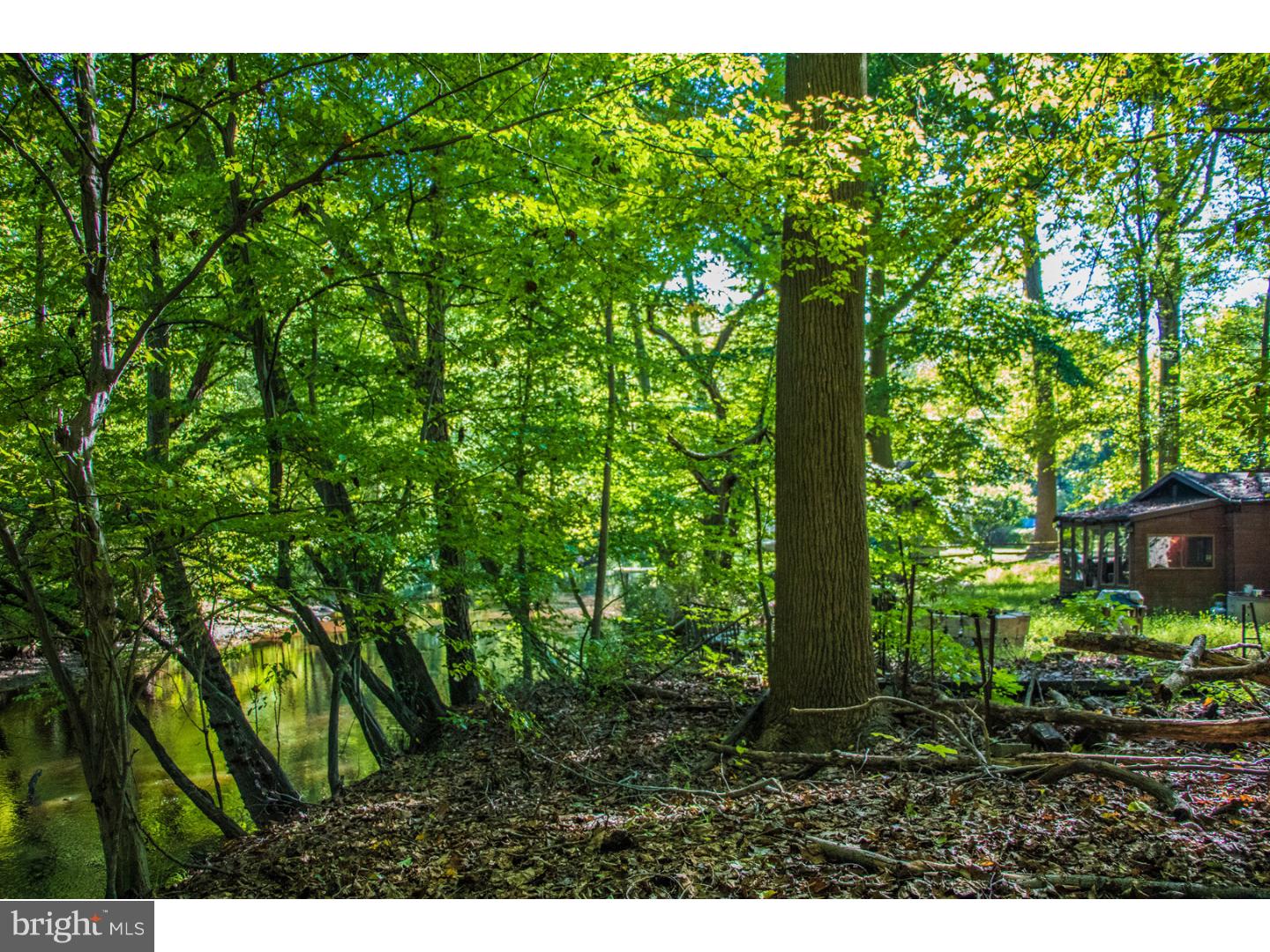 4 Mill Creek Road Eastampton, NJ 08060 - Photo 3 of 11 Gallery Image 3