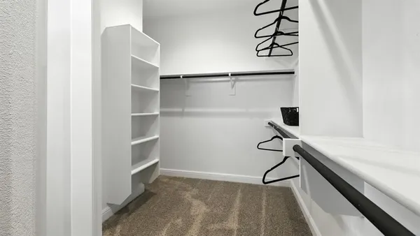 a bathroom with a shower and a sink