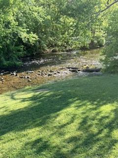9619 Old Roanoke Road Elliston, VA 24087 - Photo 19 of 29 a view of a green field with plants and large trees