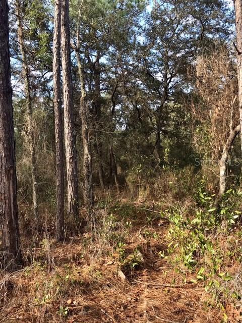 Tbd Northeast 51st Pl  