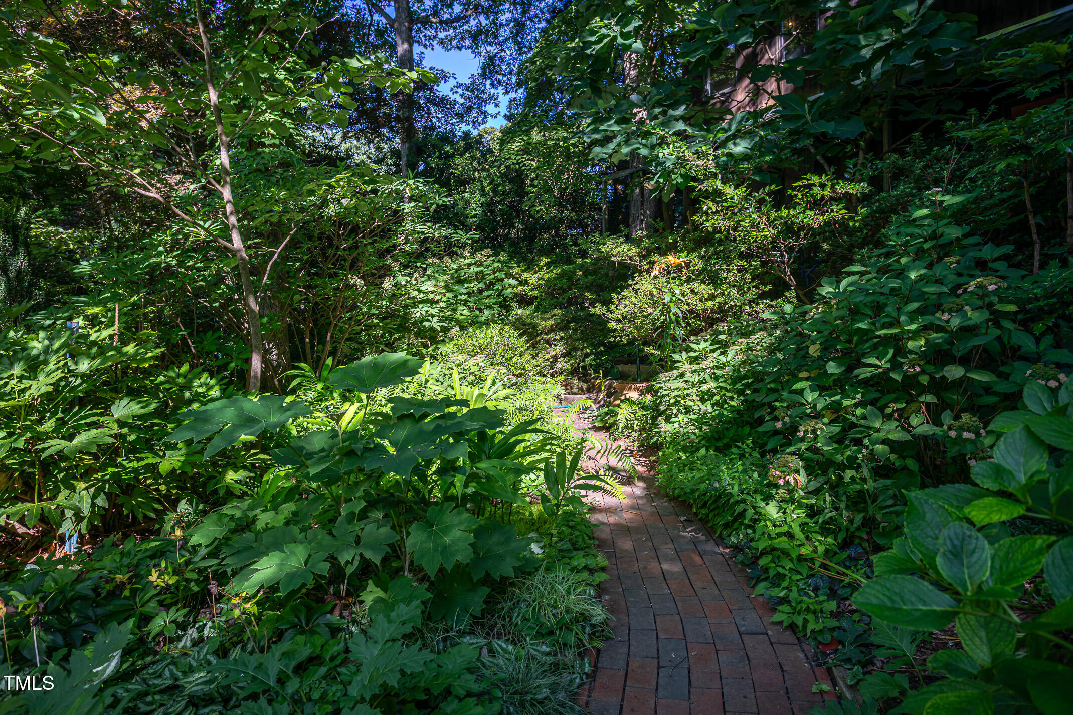 820 Runnymede Road Raleigh, NC 27607 - Photo 37 of 43 a view of a yard