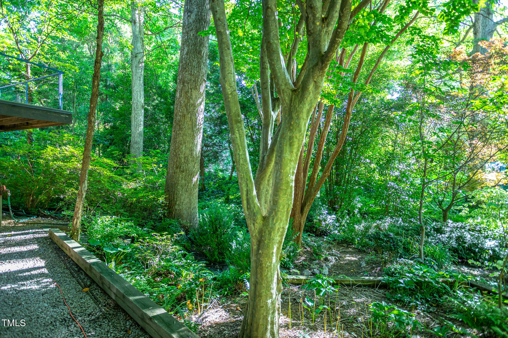 820 Runnymede Road Raleigh, NC 27607 - Photo 38 of 43 a view of a garden