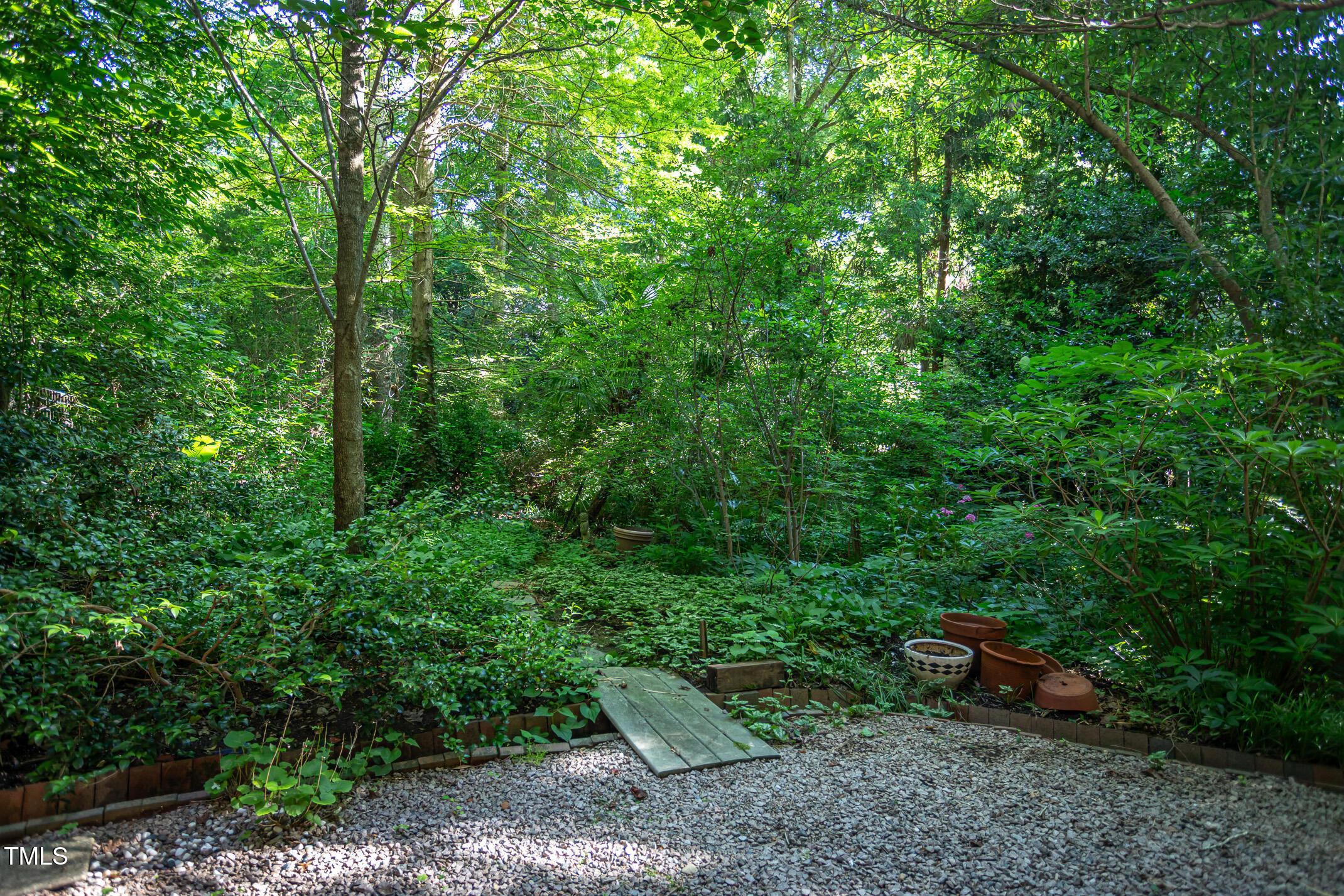 820 Runnymede Road Raleigh, NC 27607 - Photo 39 of 43 a view of a forest with a bench and trees