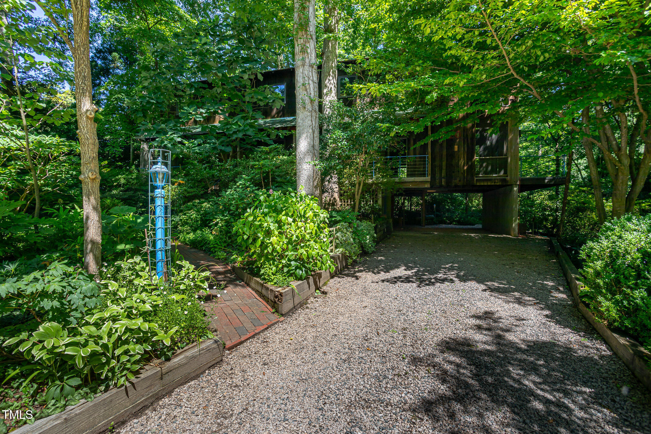 820 Runnymede Road Raleigh, NC 27607 - Photo 42 of 43 a view of a garden with plants
