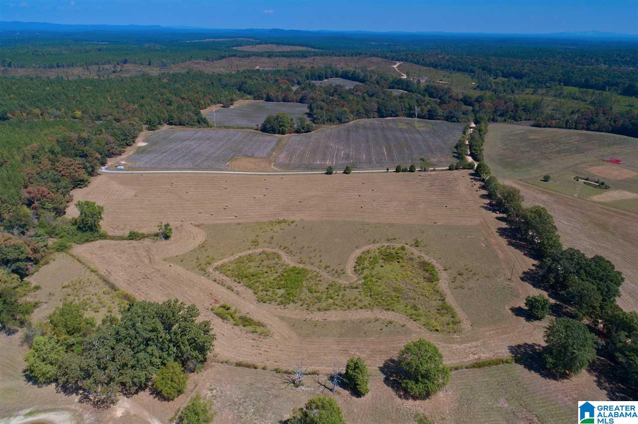 Jackson Farm Road, Unit B Wilsonville, AL 35186 - Photo 6 of 12