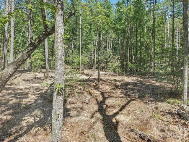 a view of outdoor space with trees