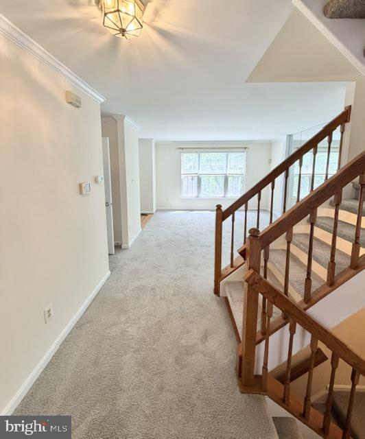 45572 Whitcomb Square Sterling, VA 20166 - Photo 4 of 32 Inviting entryway with natural light.