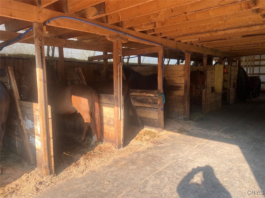 6341 County Road 4 Hume, NY 14735 - Photo 41 of 48