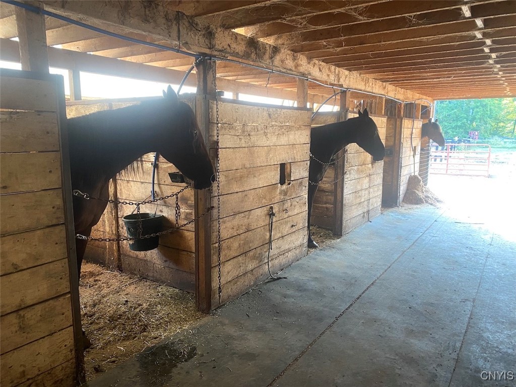 6341 County Road 4 Hume, NY 14735 - Photo 42 of 48