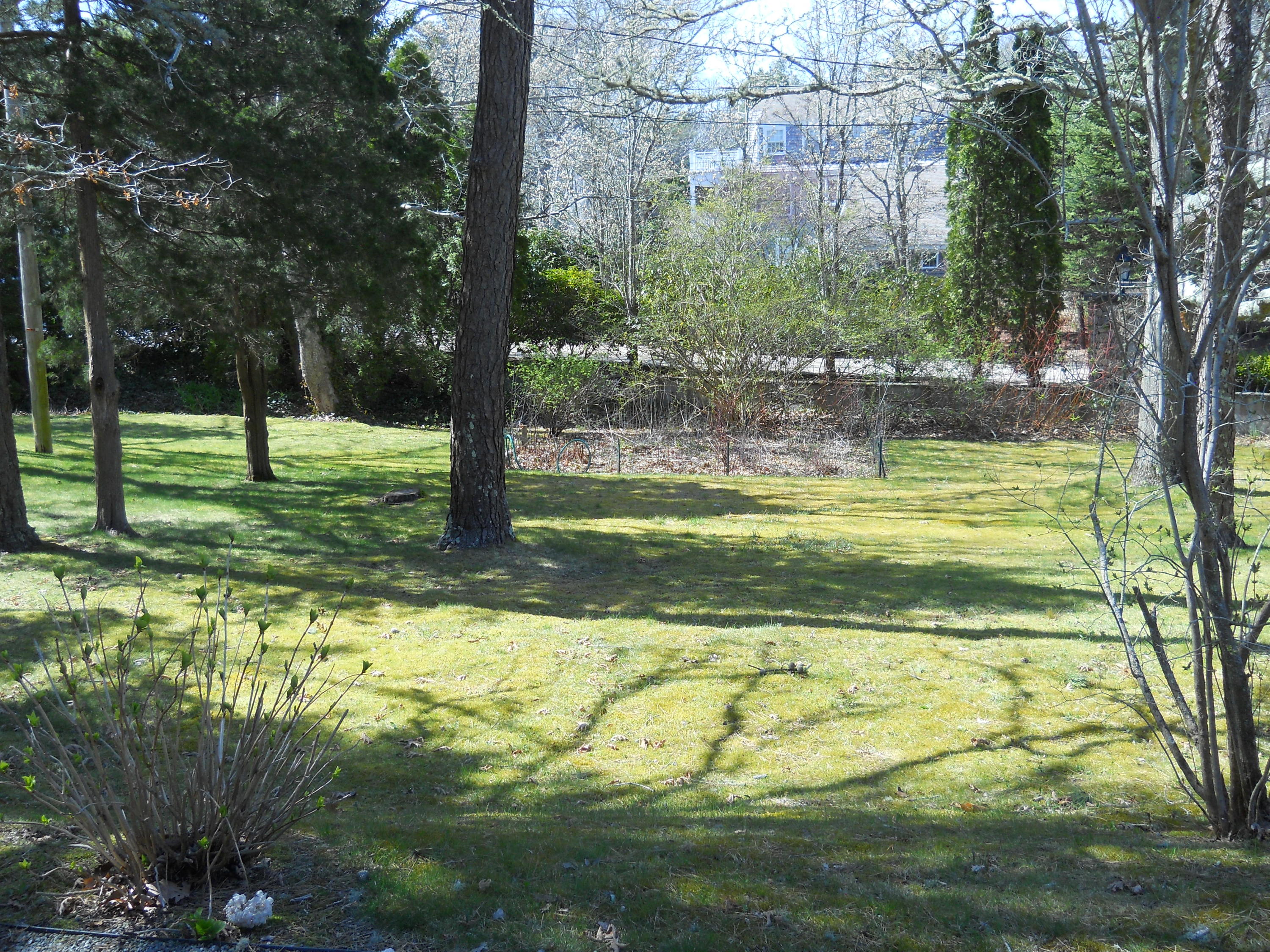 87 Eel River Road Osterville, MA 02655 - Photo 29 of 29 a view of a yard with a tree