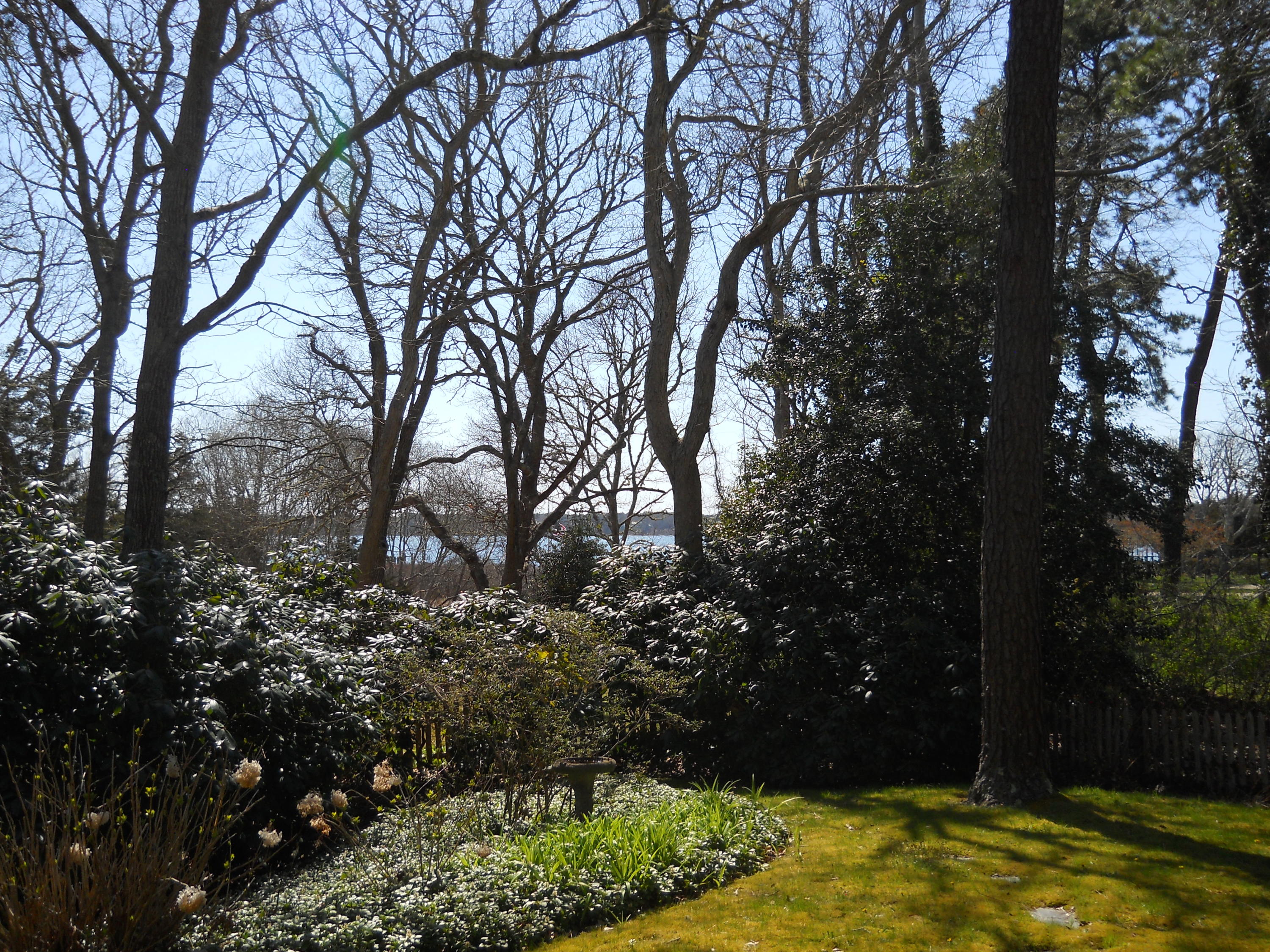 87 Eel River Road Osterville, MA 02655 - Photo 8 of 29 a view of yard