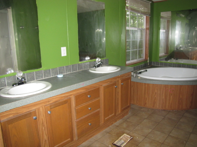 4126 Altice Road Moneta, VA 24121 - Photo 6 of 13 Master Bath