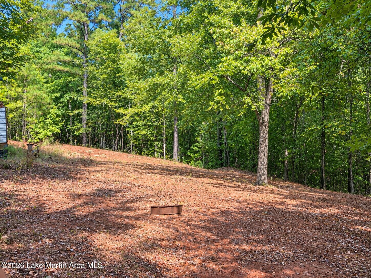 5 Acres Rattler Road Road Tallassee, AL 36078 - Photo 2 of 5 Gallery Image 2