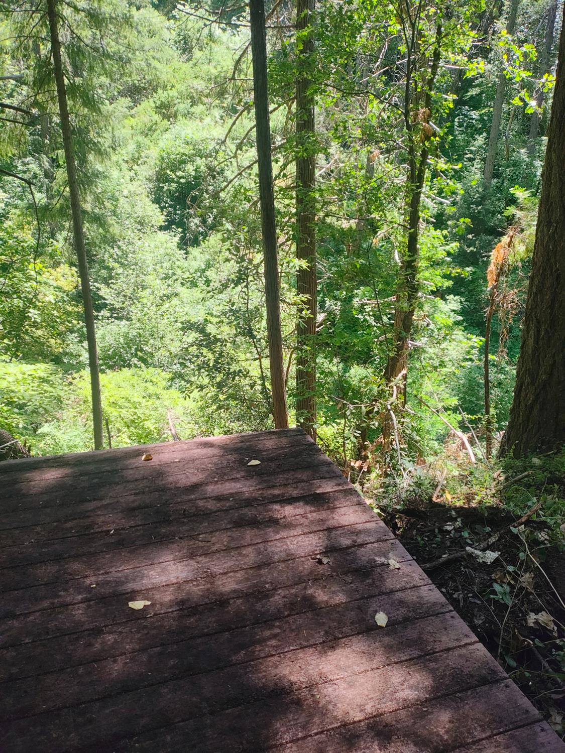 18290 Backwoods Road Nevada City, CA 95959 - Photo 15 of 24
