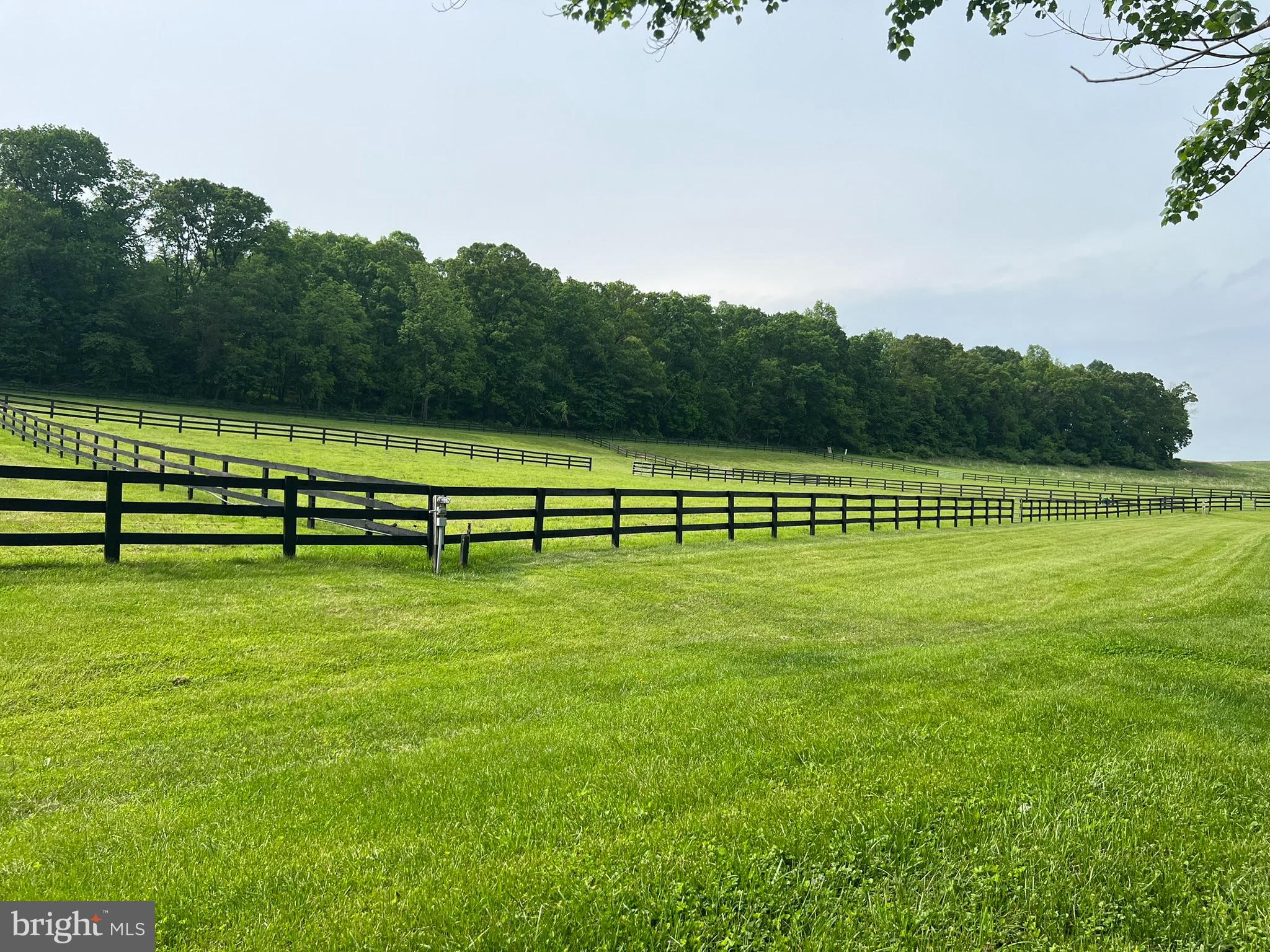 2810 Hoffman Mill Road Hampstead, MD 21074 - Photo 14 of 121 5 interconnected fenced paddocks w/ water & elect