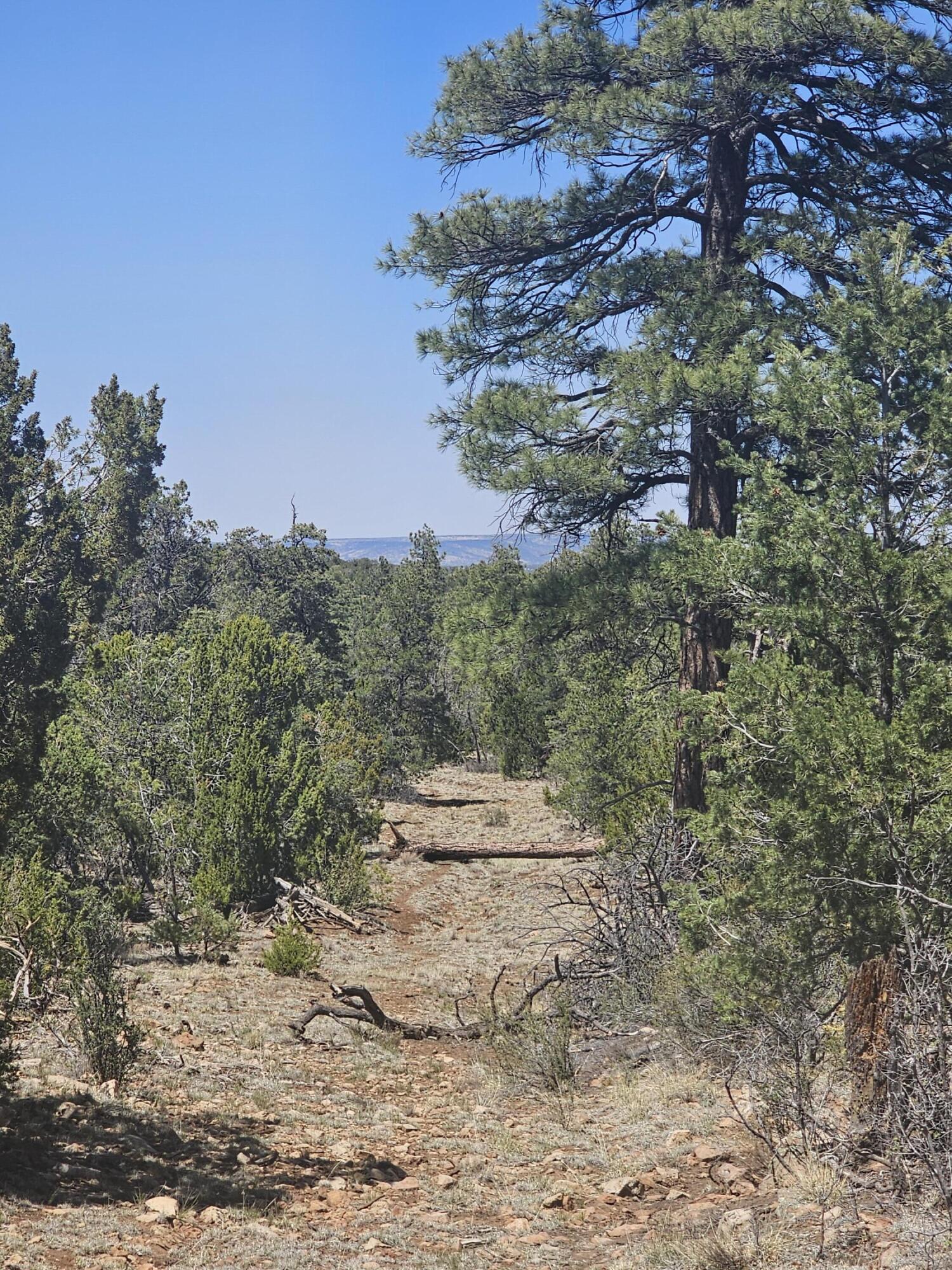 3662 Sunset Ridge Loop Happy Jack, AZ 86024 - Photo 7 of 9