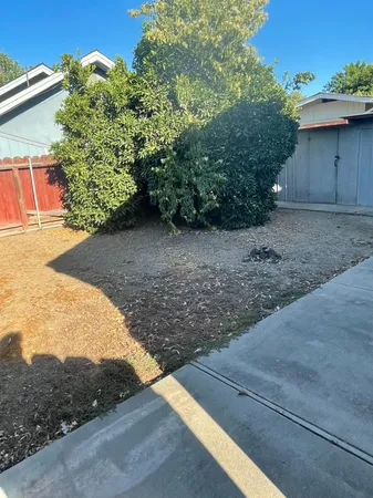 a view of a backyard