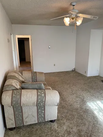a living room with furniture flowerpot and a chandelier