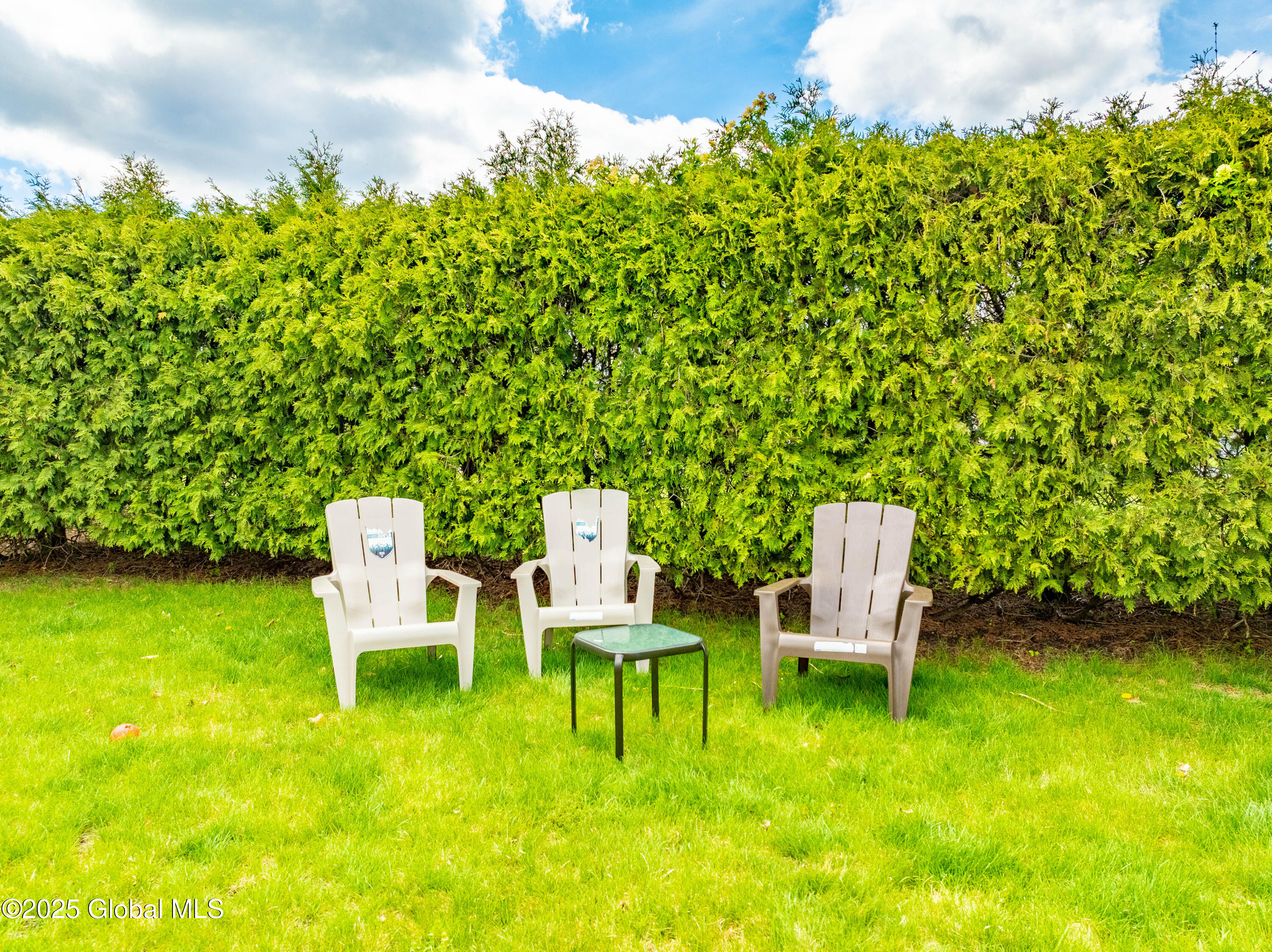 320 Dolan Drive Rotterdam, NY 12306 - Photo 44 of 49 DJI_0060-HDR