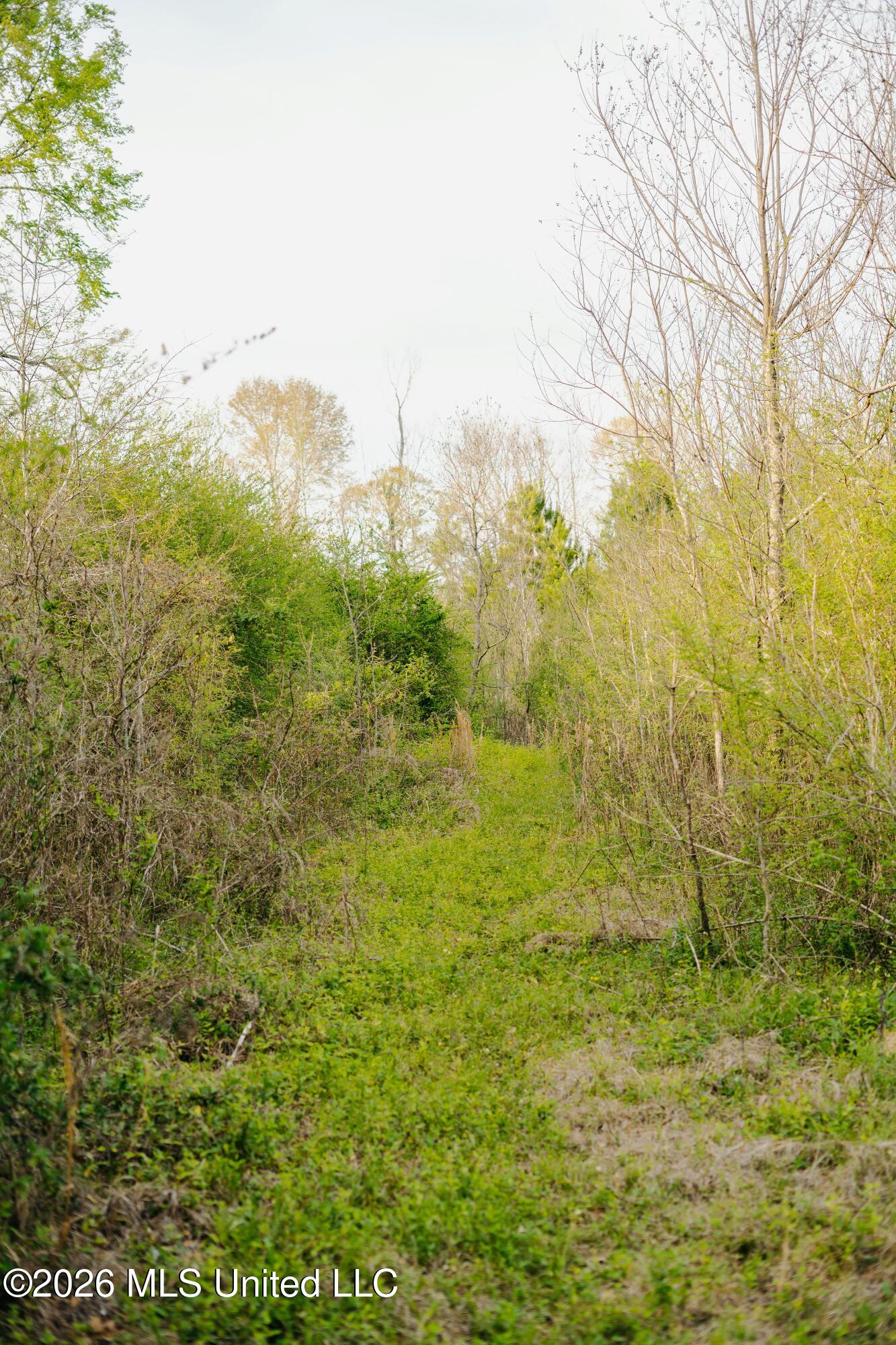 1844 Volley Campbell Road Terry, MS 39170 - Photo 40 of 81 DSC02398