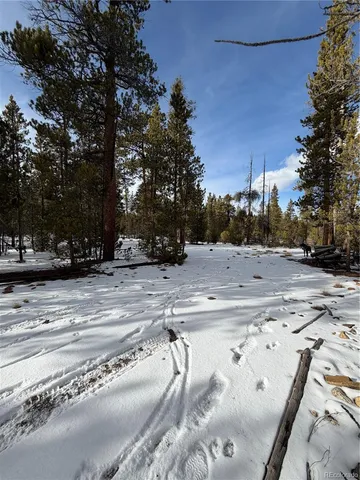 a view of a yard with a tree
