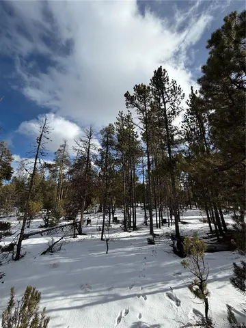 a view of a road with a trees