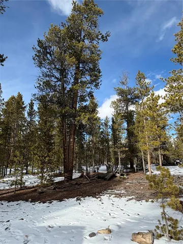 a view of outdoor space with trees