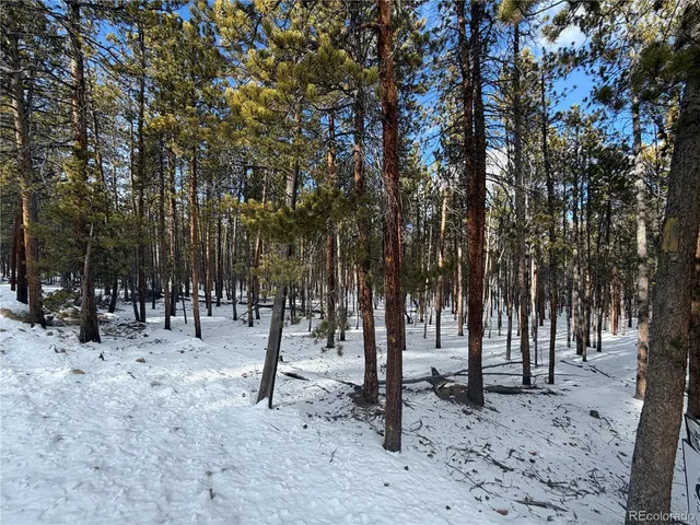 a view of a yard with a trees